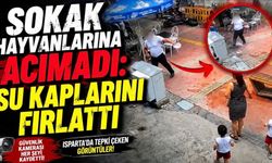 Sokak Hayvanlarının Su Kaplarını Fırlattı