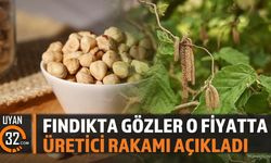 Fındıkta Yeni Alım Fiyatı Beklentisi Yükseldi: Üreticiden Net Rakam