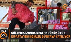 Sabah Toplanıyor, Dünyaya Gönderiliyor! Isparta Gülü Avrupa Yolunda