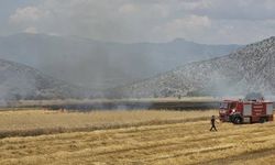 Hasat Sezonunda Korkutan Yangın! Başkan Peş Peşe Uyardı