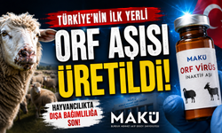 Hayvancılıkta Dışa Bağımlılığa Son! Türkiye’nin İlk Yerli Orf Aşısı Üretildi