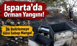Mangal Kıvılcımı Ormanı Yaktı! Isparta'da Arı Kovanları Kül Oldu
