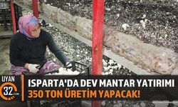 Isparta'da 19.8 Milyon Liralık Mantar Tesisi Üretime Başladı