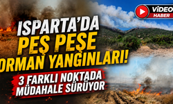 Isparta'da 3 Farklı Noktada Eş Zamanlı Yangın