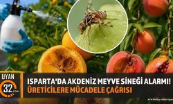 Isparta'da Akdeniz Meyve Sineği Alarmı!