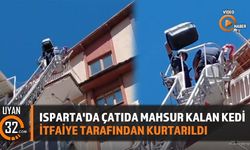 Isparta'da Çatıda Mahsur Kalan Kedi İtfaiye Tarafından Kurtarıldı