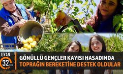 Isparta'da Gönüllü Gençler Kayısı Hasadında Üreticiye Destek Oldu