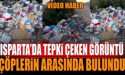 Isparta'da Tepki Çeken Görüntü Çöplerin Arasında Bulundu
