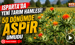 Isparta'da Yeni Tarım Hamlesi! 50 Dönümde Aspir Umudu