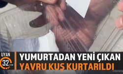 İtfaiye Ekipleri Yavru Kuşu Kurtardı