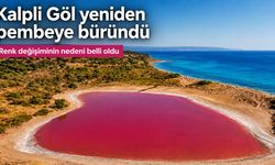 Kalpli Göl yeniden pembeye büründü: Renk değişiminin nedeni belli oldu