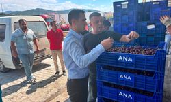 Kaymakam Açıkgöz, kiraz alım merkezinde üreticilerle buluştu
