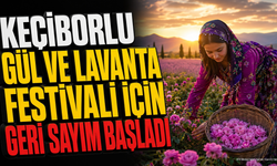 Keçiborlu 2. Gül Ve Lavanta Hasat Sonu Festivali İçin Geri Sayım
