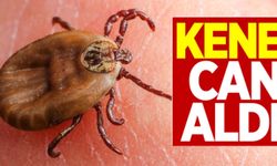 Burdur'da kene can aldı