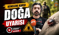 Kenelere Karşı Yaz Uyarısı: Uzmandan Tedbir Çağrısı