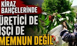 Kiraz bahçelerinde üreticiler de işçiler de memnun değil