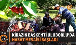 Kirazın Başkenti Uluborlu'da Hasat Mesaisi Başladı