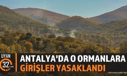 Kumluca'da Orman Yangınları Sonrası Girişler Yasaklandı