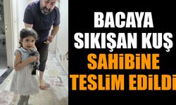 Bacaya Sıkışan Kuş Sahibine Teslim Edildi