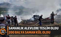 Alevler Samanlığı Sardı! 200 Balya Saman Kül Oldu