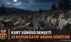 Şarkikaraağaç'ta Kurt Saldırısı: 33 Koyun Kayboldu