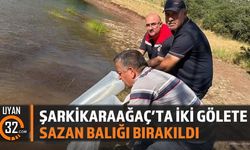Şarkikaraağaç'ta Sazan Balığı Bırakıldı