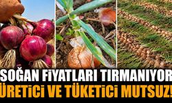 Soğan Fiyatları Neden Yükseldi? Mutfakların Vazgeçilmez Ürününde Yükselişin Perde Arkası