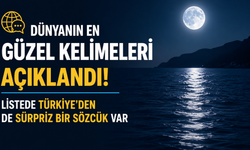 Dünyanın En Güzel Kelimeleri Açıklandı! Listede Türkiye'den de Sürpriz Bir Sözcük Var