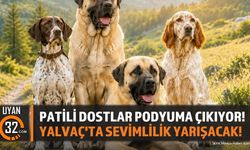 Yalvaç Köpek Güzellik Yarışması İçin Başvurular Başladı