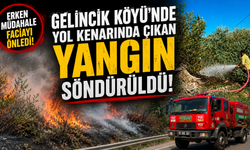Yol Kenarında Çıkan Yangın Erken Müdahaleyle Söndürüldü