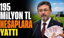 195 Milyon Liralık Tarımsal Destek Ödemesi Hesaplara Yattı