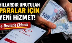 Adınıza Unutulan Para Olabilir! e-Devlet'te Tek Tıkla Kontrol Edilebilecek