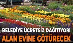 Belediye Ücretsiz Dağıtıyor! Alan Evine Götürecek