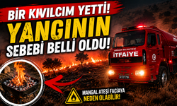 Bir Kıvılcım Yetti! Mangal Ateşi Yangına Neden Oldu