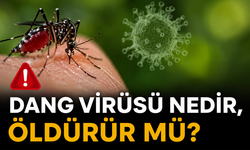 Dang virüsü nedir, öldürür mü? Belirtileri ve tedavisi