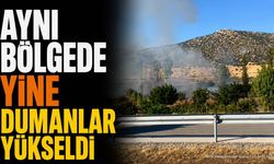 Eğirdir'de Hayvan Barınağı Bölgesinde Yeniden Duman Yükseldi