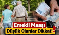 Emekli Maaşı Düşük Olanlar Dikkat! GETAD Desteğinde Evdeki Toplam Gelir Belirleyici Olacak