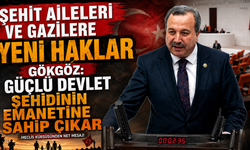 Gökgöz Mecliste Konuştu: Şehit Aileleri Ve Gazilere Yeni Haklar