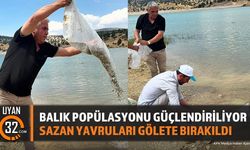Göynücek Göleti'ne Sazan Yavrusu Salımı Yapıldı