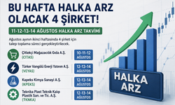 Bu hafta halka arz olacak 4 şirket belli oldu! 11-12-13-14 Ağustos halka arz takvimi