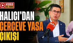 Hikmet Yalım Halıcı'dan Çerçeve Yasa Çıkışı: İktidara Güvenmiyorum