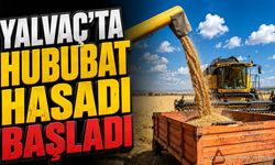 Hububat Hasadı Başladı: Kaymakam Direksiyona Geçti