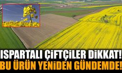 Isparta’da Çiftçilere Yeni Ürün Fırsatı! Kanola İçin Dikkat Çeken Çağrı
