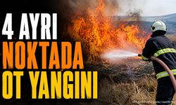 Isparta'da 4 Ayrı Noktada Ot Yangını Çıktı: Ekipler Müdahale Etti