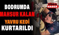 Isparta'da Cami Bodrumunda Mahsur Kalan Yavru Kedi Kurtarıldı