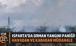 Isparta'da Gelincik Köyü Yakınlarında Orman Yangını Çıktı