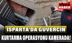 Isparta'da Havalandırma Boşluğuna Düşen Güvercin Kurtarıldı