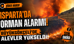 Isparta'da Orman Alarmı! Büyükgökçeli'de Alevler Yükseldi