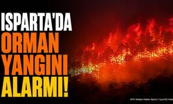 Isparta'da Orman Yangını Alarmı: Ateş Yakmak Yasaklandı