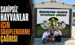 Isparta'da Sahipsiz Hayvanlar İçin Sahiplendirme Çağrısı Yapıldı